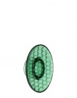 Вешалка настенная Jelly (зеленая) диаметр 13см